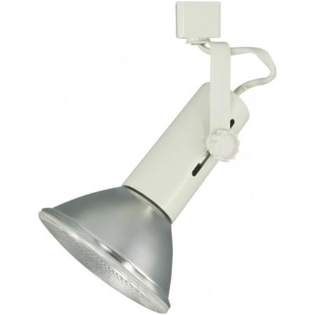 Radiant Light Adjustable Line Voltage Spot Light; Brushed Steel RA205180